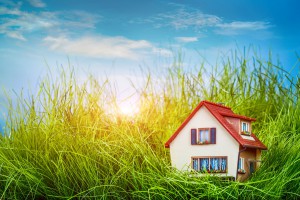 House on the green grass